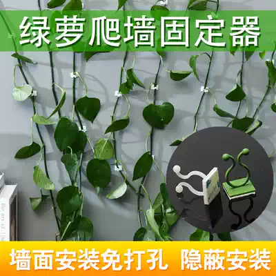 Golden Ge Climbing Wall Fixer Household Labeless Adhesive Green Vine Climbing Fixed Sticky Hook Golden Geecard artifact