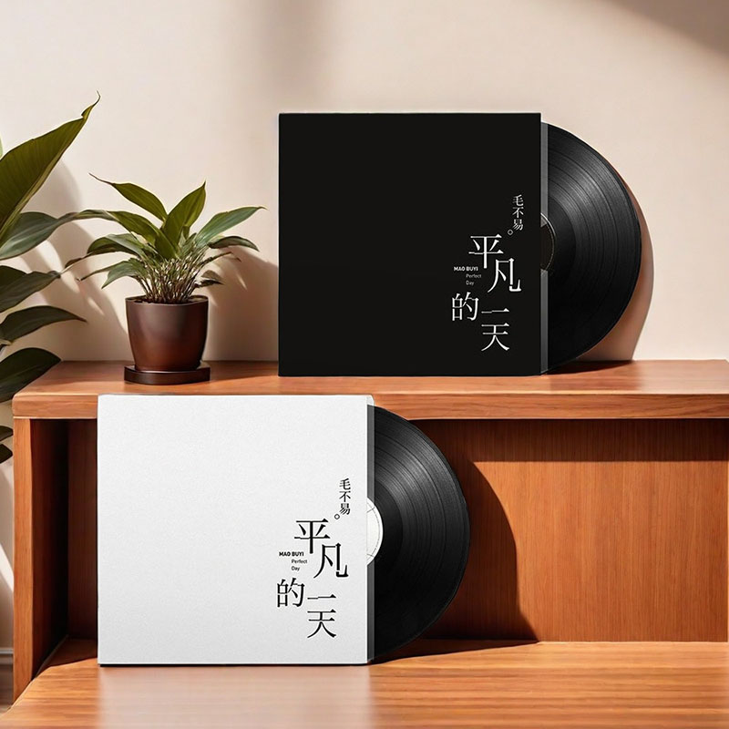 本物の毛布易アルバム「An Ordinary Day」LPビニールレコード、昔ながらの蓄音機12インチディスクターンテーブル