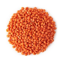 Turkey Italian red lentils family large package imported vegan food small vegetable protein calcium high quality horse Bean Bean