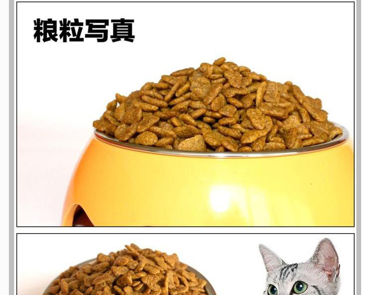 Thức ăn cho mèo mèo Gao Gao Aoli 500g 5 kg Anh ngắn làm đẹp mèo ngắn thành thức ăn cho mèo nên cho mèo ăn cơm hay ăn hạt