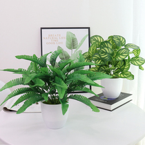 Simulation plant potted decoration indoor and outdoor fake flower fake grass green roe eucalyptus living room table desktop floral display