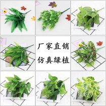 Simulation of green plants and rattan Persian leaf plant wall silk flower plastic flower background wall living room decoration flower bar decoration