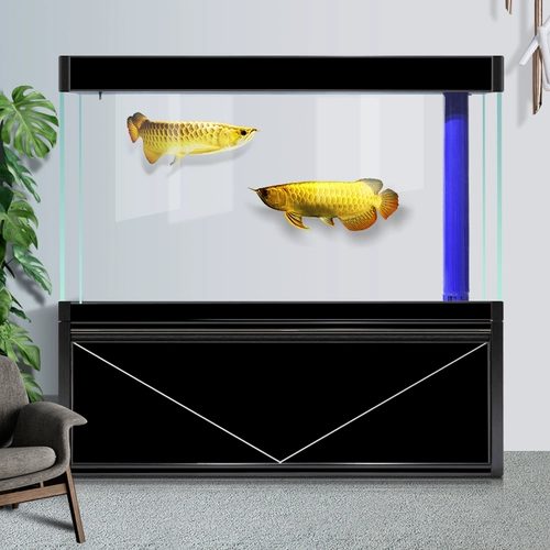 朗笙岛 Рыба аквариум гостиная, оборудованная средней большой нижней фильтрацией без изменений вода золото -хрустальное ультра -белоуголочное стекло Арована Танк
