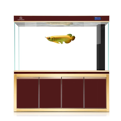 朗笙岛 Большой рыболовный аквариум для аквариума по дому без воды, экологический ленивый супер белый стеклянный фильтрация Арована Танк