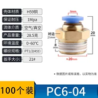 PC6-04 → 100 пакетов