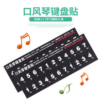 Keyboard sticker sheet music sticker Suitable for 37 keys 32 keys 27 keys Easy to clean Suitable for Swan Chimei Suzuki