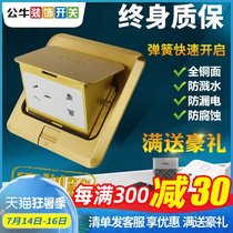 Bull ground socket All copper waterproof non-damping hidden floor floor foot 5 five-hole socket panel household