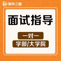 Japanese graduate student professor interview guidance counseling mock interview for further study