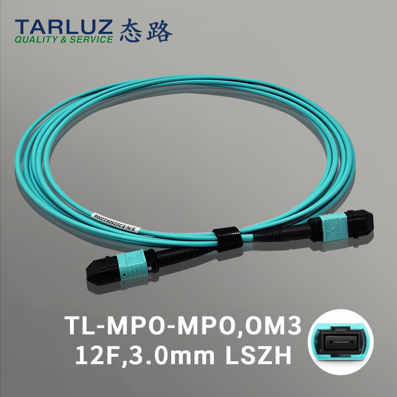 State Road Mpo Single-Mode Optical Fiber Line 8-Core 12-Core 24-Core Mtp Multi-Mode 10g Om3Om4Om5 Optical Fiber Jumper