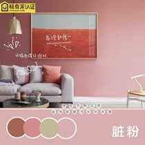 Morandi Silicon Algae Clay Bean Sand Color Brick Red Dirty Powder Cinnamon Powder Cute Powder Wall Face Wall Paint Water-based Emulsion Paint Self-Brush
