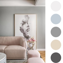 Morandi Net Taste Superior Aqueous Silicon Algae Deep Grey Blue Retro Green Indoor Industrial Wind Self-Brushed Emulsion Varnish Wall Paint