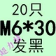 M6*30 (20)