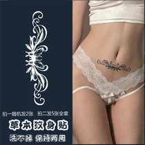 Grass wood semi-permanent tattooed with herbals This plant juice waterproof persistent non-reflective belly small ventral scar stickers