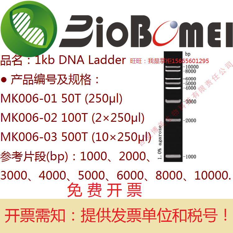 合肥博美生物1kb DNA Ladder核酸Marker1000-10000bp电泳实验含票