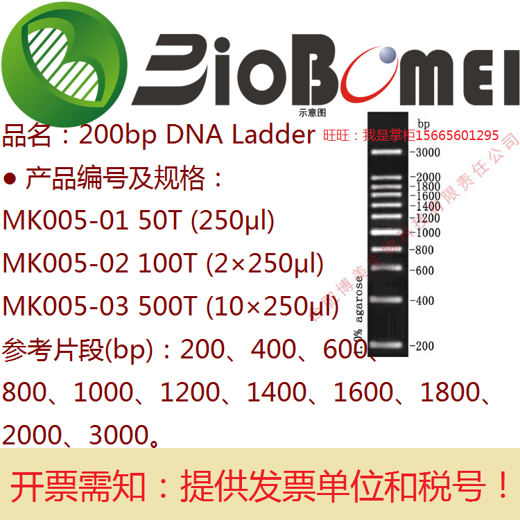 200bp DNA Ladder11条双链生物实验琼脂糖凝胶电泳3000bp电子发票