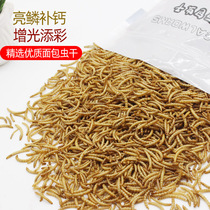 Ecological fish food koi feed universal blood red parrot fish dragon fish map arahans goldfish food breadworm dry