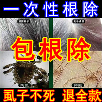 Lice Medicine Little Girl Hair Children Head Lice A Sweeping 100 Ministry Tincture to Lice Adults Use Bed