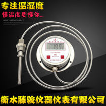 Digital Thermometer Digital Thermometer Remote Digital Thermometer DTM-491 All Stainless Steel Digital Thermometer