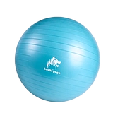 Bodhi Йога шариковая фитнес