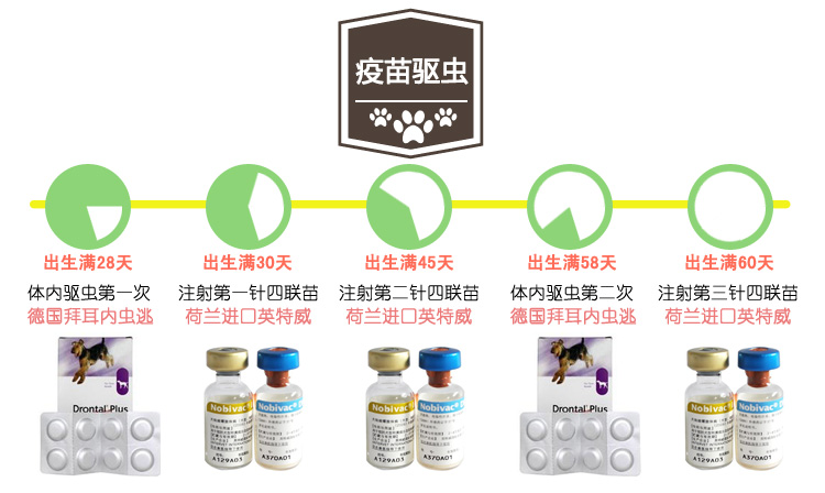 随时上门选购、多只可挑、终身保障 纯种、沙皮犬