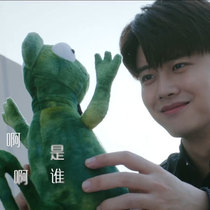 Miss Crow and Mr. Lizard Gu Chuan Ren Jialun Xing Fei Xiaoning same recording Doll Doll plush toy