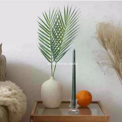 Hanfeng ins Nordic leaf plants and vases home decoration photo props chic simulation leaves