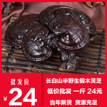 Changbai Mountain Purple Ganoderma lucidum semi-wild Linzhi slices Ganoderma lucidum 500g pruned deep mountain planting Changbai Mountain Ganoderma lucidum