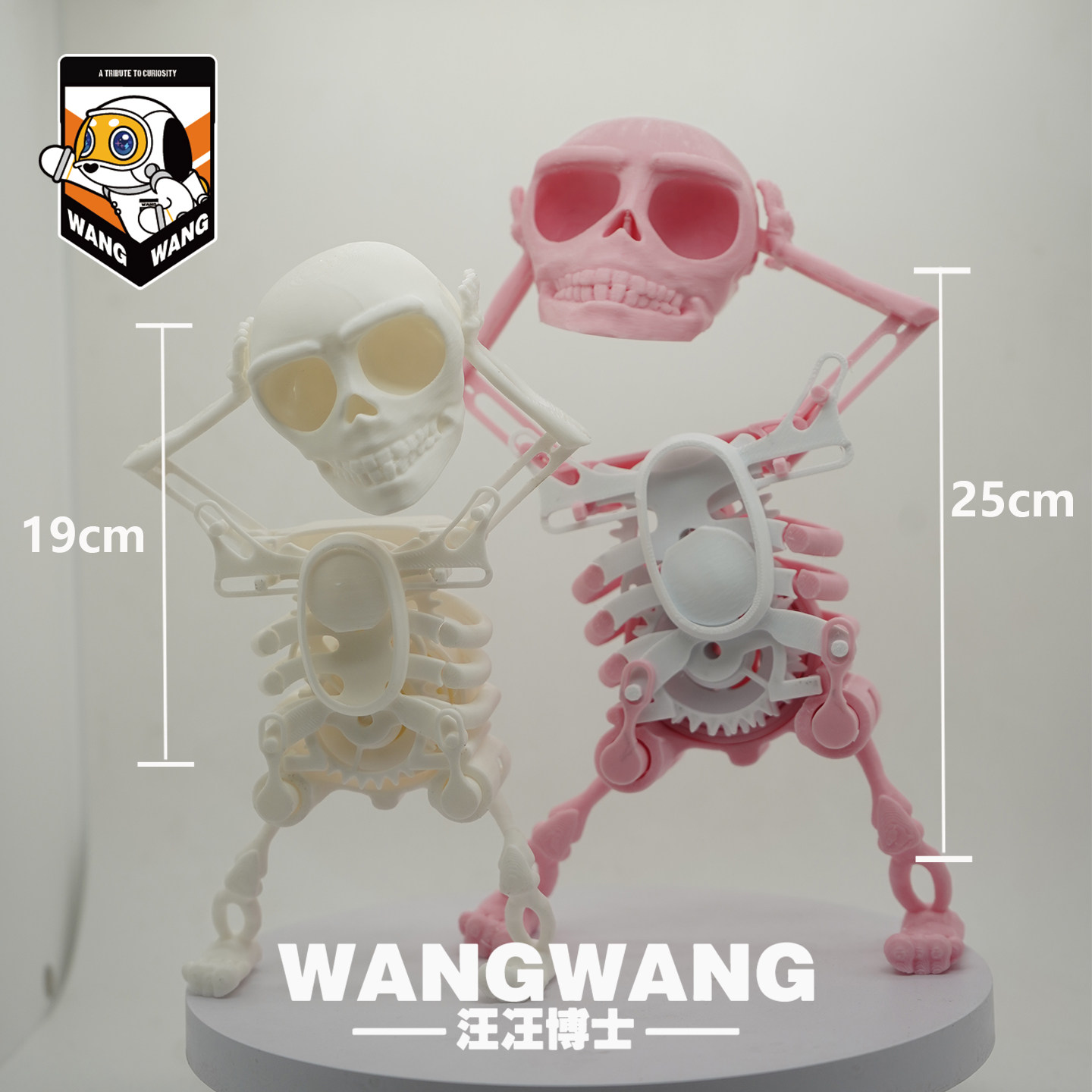 3D модель члена маятник  会跳舞骷髅头骨架小人左右摇摆3d立体扭扭动整蛊搞怪解压玩具礼物 No brand