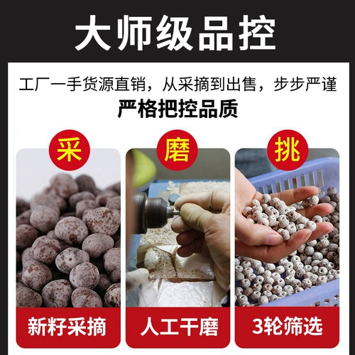 Золотые четки бодхи, 8 года