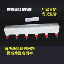 Calf bottle calf Feeder Pig animal lamb pig lamb pot pacifier animal cow sheep breastfeeding artifact bottle milk