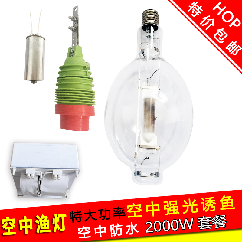 Flying Busji Air 2000W Gold Halogen Light Fishing Catfish Catfish Lamp Waterproof Marine Fishing Light Water Bofish Lamp Bright Light