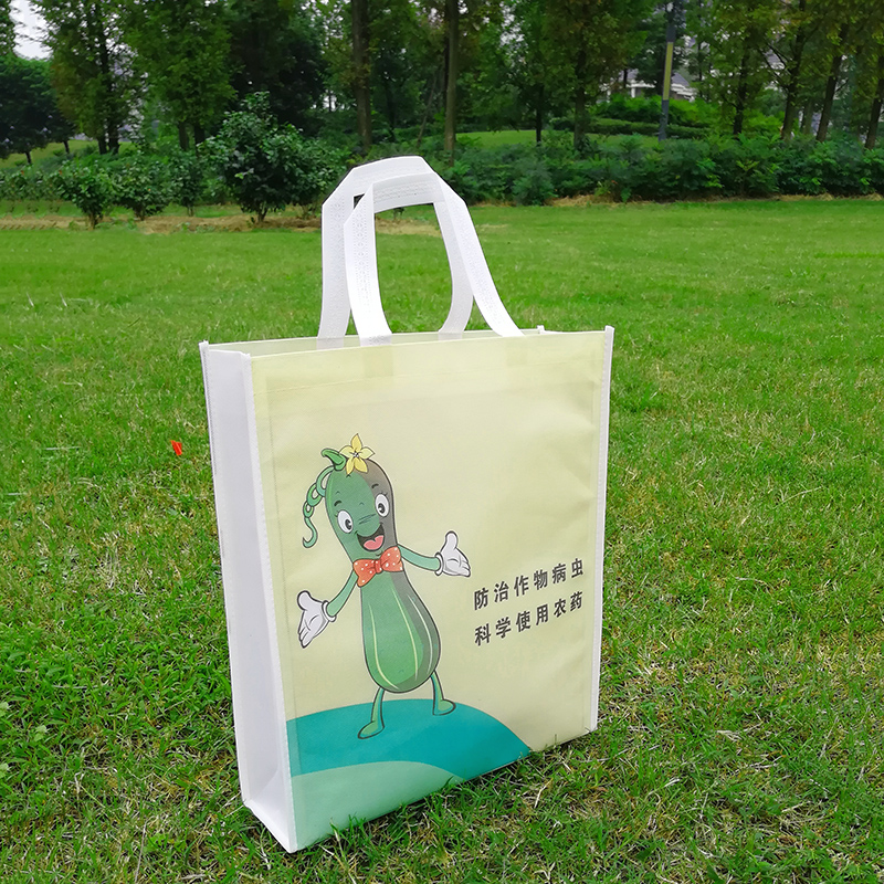 Non-woven bag customized environmental protection publicity teaching laminated color canvas takeaway bag customized LOGO urgent spot factory