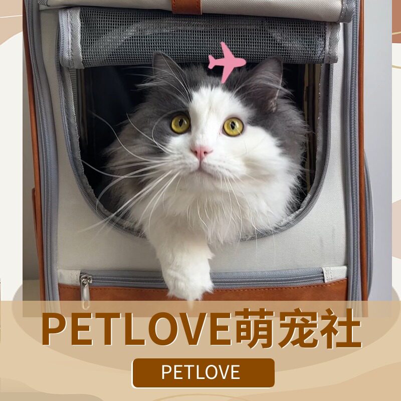 PETLOVE萌宠社