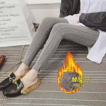 Pregnant womens autumn and winter plus velvet padded trousers Korean version of split pregnant women warm belly bottom pants Spring and Autumn wear