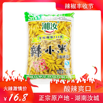 Xiangru millet pepper bubble pepper 4 pounds of Hunan Chaotian pepper salted vegetables super spicy homemade Kimchi kitchen seasoning