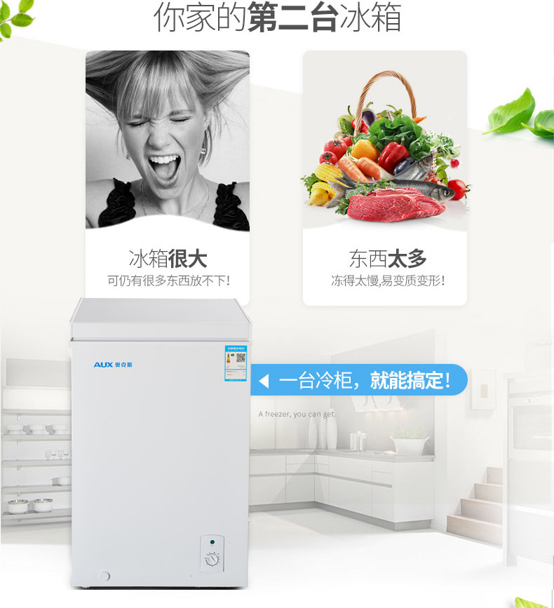Tủ đông nhỏ AUX / AUX BC / BD-108A - Tủ đông tủ đông sanaky inverter