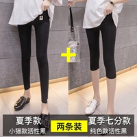 Летняя активность котенка черное+лето семь очков чисто цветовые активности черный