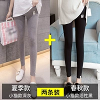 Летний котенок глубоко серой+весна и осенний котенок активность черная