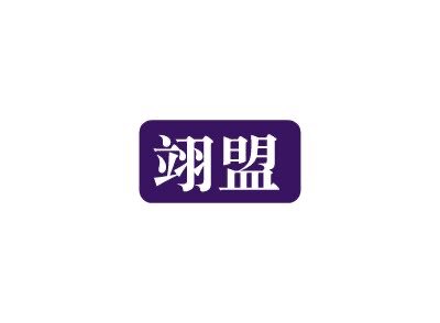 翊盟车品