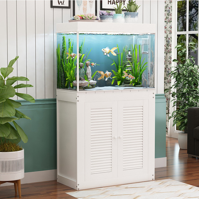 office fish tank