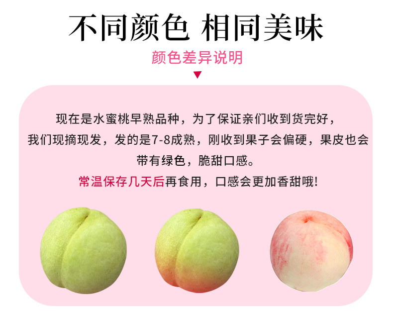O1CN013SQodr1XuivO53Kud_!!2926862984.jpg