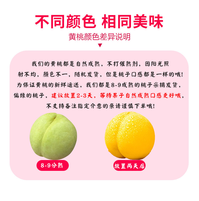 O1CN019KywoL1XuipYWo4B8_!!2926862984.jpg