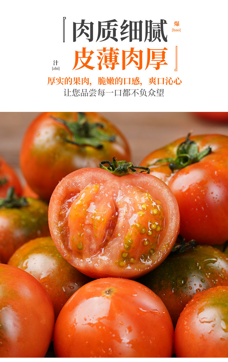 O1CN01SUDKeu1XuimlbpmSc_!!2926862984.jpg