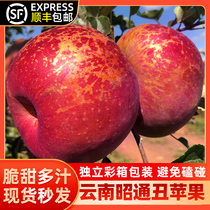 Yunnan Zhaotong ugly apple gift box fresh fruit season whole box 9kg Shaotong sugar heart wild Shaotong 10