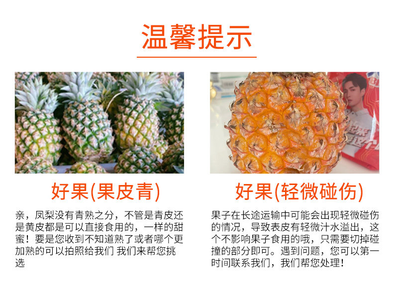 O1CN01oVYNTF1Xuiz6ro0BK_!!2926862984.jpg