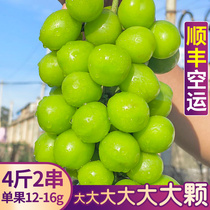 Shunfeng Air Sunshine Rose grape 4kg whole box of incense green fresh fruit clear king big fruit seedless