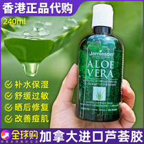 Canadian Jamieson bodybuilding aloe vera gel 240ml hydration soothing anti-itching moisturizing Anti-Acne Repair Gel