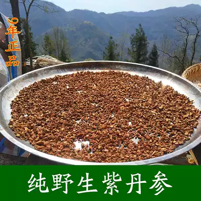 Wild Purple Salvia Miltiorrhiza Wild 500g Super Salvia Miltiorrhiza Salvia Miltiorrhiza Wild