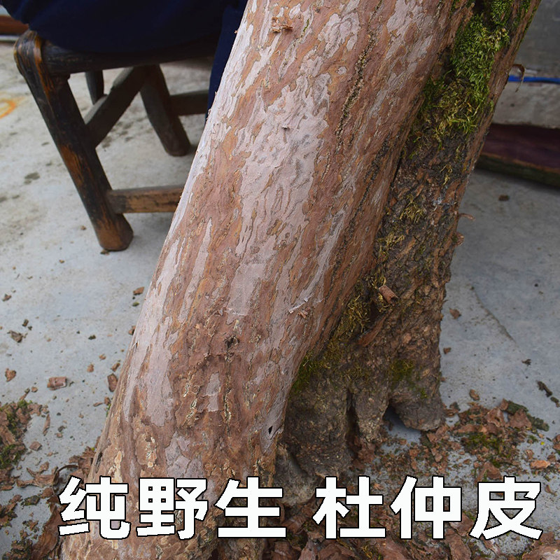 Wild Du Zhongpi has gone coarse 500g mild du - Zhongpin Du Zhongpin medicine material