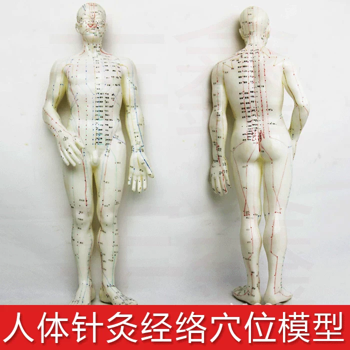 Cơ thể đồng y tế người châm cứu châm cứu xoa bóp kinh tuyến đồ chơi em bé